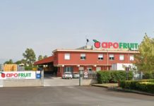 Aprilia, travolta dal muletto in manovra: rischia di perdere una gamba