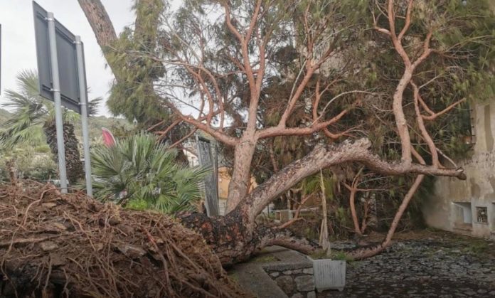 WhatsApp Image 2026-02-14 at 10.28.50