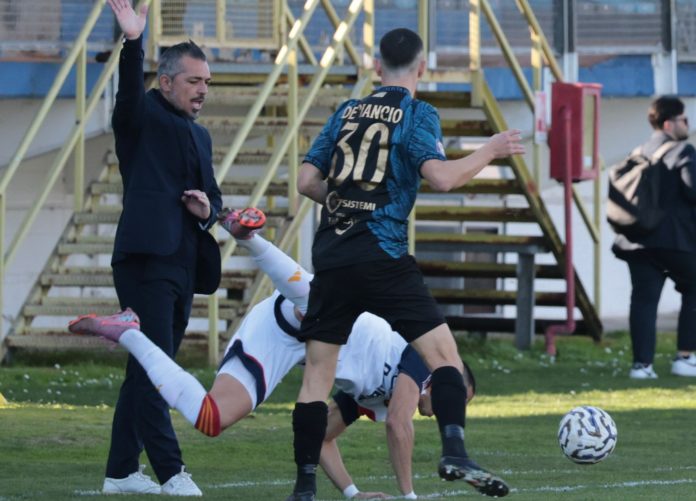 WhatsApp Image 2026-02-21 at 16.31.33