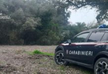 Taglio abusivo di vegetazione nel Parco del Circeo, scattano le denunce