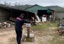 Cori, discariche a cielo aperto: i Forestali sequestrano due aree