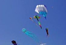 Sabaudia si colora di primavera: aquiloni, spettacoli e iniziative per tutta la famiglia