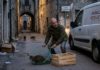 Priverno: furto di gatti denunciato ambientalista