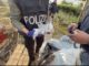 Maxi operazione nazionale di Polizia, Latina in prima linea