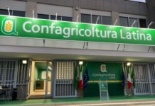 Confagricoltura fa 70: domani le celebrazioni per l’anniversario dell’ente