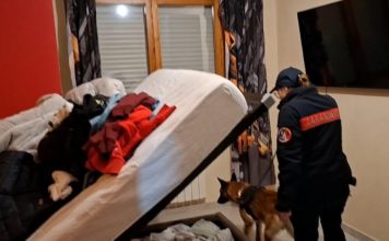 Aprilia, il blitz antidroga i nomi dei 14 arrestati