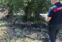 Minturno, sterpaglie bruciate vicino alle case: scatta la sanzione