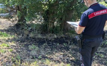 Minturno, sterpaglie bruciate vicino alle case: scatta la sanzione