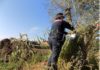 Scavi abusivi in zona a rischio frane, sequestro da 1000mq ad Aprilia
