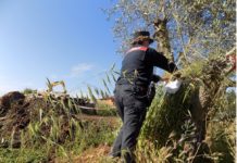 Scavi abusivi in zona a rischio frane, sequestro da 1000mq ad Aprilia