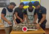 Ponza, maxi sequestro di hashish: 40 kg in una grotta a Chiaia di Luna