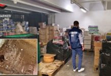 Latina, topi e blatte: chiuso il magazzino di un supermercato