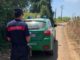 Potature irregolari a Cori, sanzioni dei Forestali