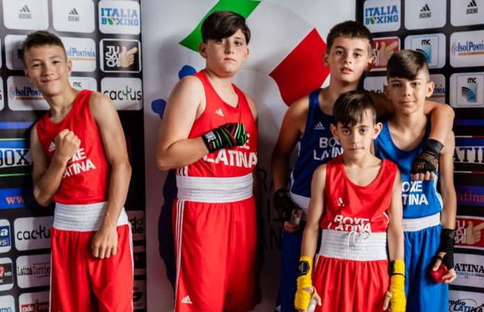 Boxe Latina