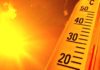 Emergenza caldo, domani Latina sarà bollino rosso