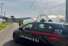 Caporalato, in provincia 18 aziende irregolari su 35: 7 sospese e 17 denunciati