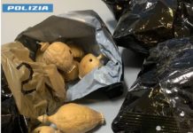 Latina, controlli antidroga: sequestrati presunti bulbi di oppio