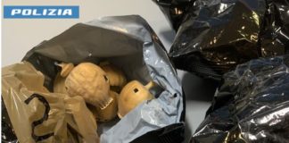 Latina, controlli antidroga: sequestrati presunti bulbi di oppio