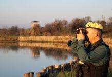 Rifiuti, Latina punta sulle Guardie Ecologiche Volontarie