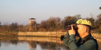 Rifiuti, Latina punta sulle Guardie Ecologiche Volontarie