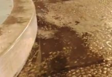 Latina, tracima acqua dalla fontana di Piazza del Popolo