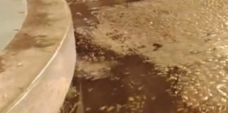 Latina, tracima acqua dalla fontana di Piazza del Popolo
