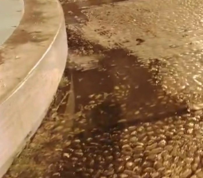 fontana piazza del popolo