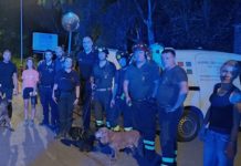 Intrappolati nella vegetazione del canale, due cocker salvati dalla polizia locale