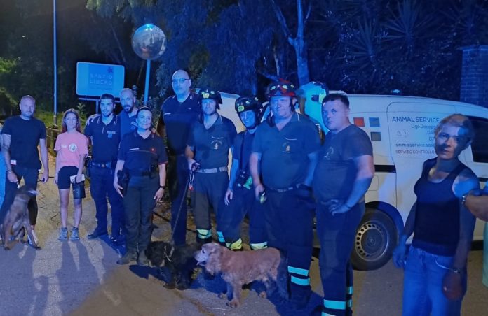 SALVATAGGIO CANE VIALE PENNACCHI (1)