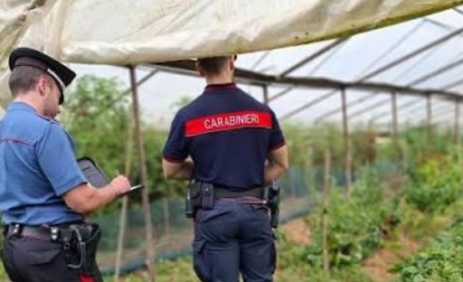 carabinieri Sermoneta