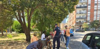 Latina: nuovi controlli antidroga alle autolinee, al Nicolosi e alla stazione