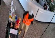 Ennesimo furto al Caffè Poeta, l’appello alle istituzioni di Luca Targa