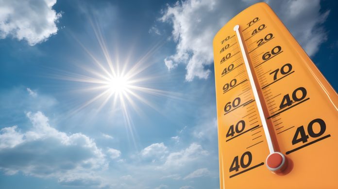 CALDO-