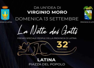 Latina celebra i suoi talenti: torna “La Notte dei Gatti”
