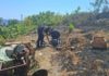 Incendio boschivo a Gaeta: rogo partito da un braciere per conserve