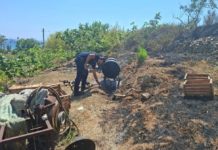 Incendio boschivo a Gaeta: rogo partito da un braciere per conserve