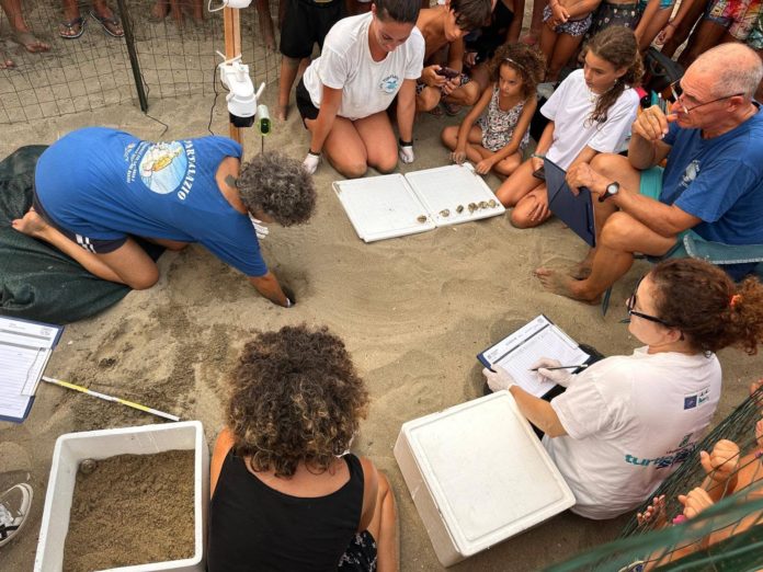 EXCAVATION NIDO TERRACINA 28 AGOSTO 2026