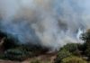 Latina brucia: tre incendi tra Borgo Piave, Q5 e Borgo San Michele