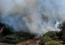 Latina brucia: tre incendi tra Borgo Piave, Q5 e Borgo San Michele