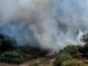Latina brucia: tre incendi tra Borgo Piave, Q5 e Borgo San Michele