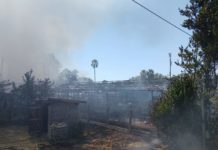 Incendi a Latina, una città messa in ginocchio dai piromani