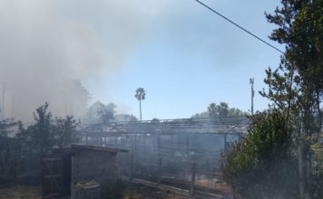 Incendi a Latina, una città messa in ginocchio dai piromani