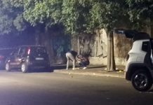 Omicidio e spari in città, Latina inquieta