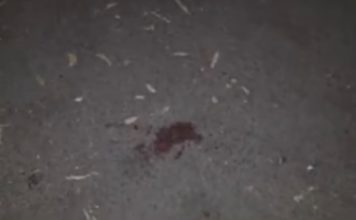 Il dolore della fidanzata: “Sono incinta, è stata una trappola”