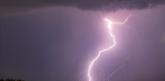 Bomba d’acqua su Latina, i primi danni: alberi caduti