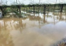 Latina, Pantanaccio sott’acqua: la rabbia del comitato