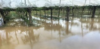 Latina, Pantanaccio sott’acqua: la rabbia del comitato