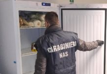 Controlli dei Nas in provincia, scattano sanzioni e chiusure