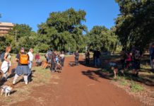 “A spasso con gli adottati”: a Cisterna una passeggiata con i cani del canile di Sermoneta