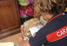 Oltre 30kg di miele senza tracciabilità, scatta il sequestro a Cisterna